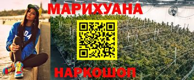прущие грибы Северобайкальск