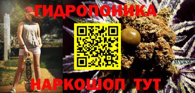 прущие грибы Северобайкальск